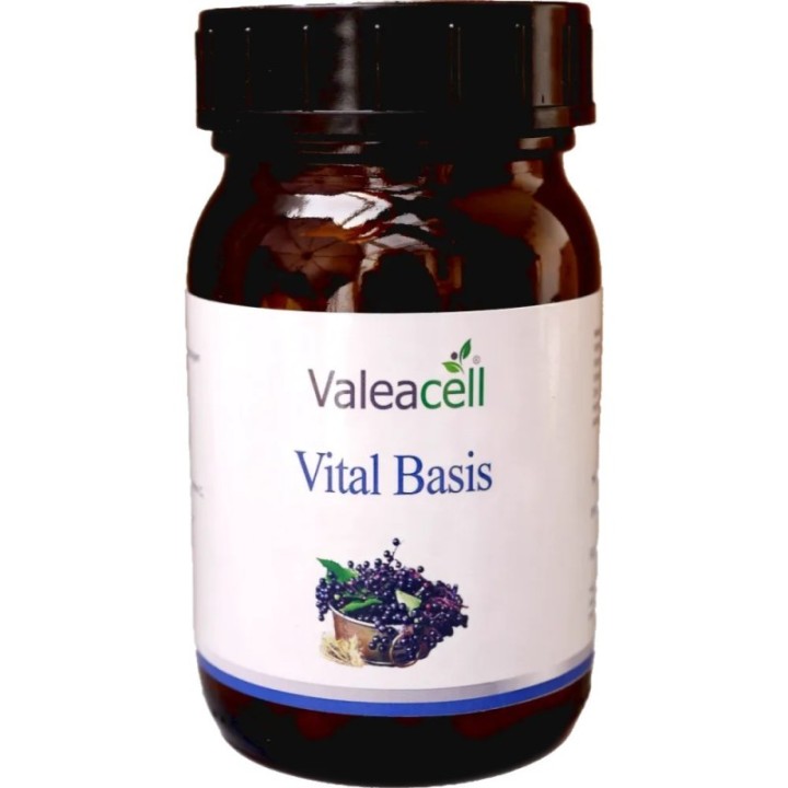 Základní základ pro stabilní imunitní systém - 1 0791266355491Domovská stránka zdravotních produktů ValeacellVITAL BASIS | 90 ka