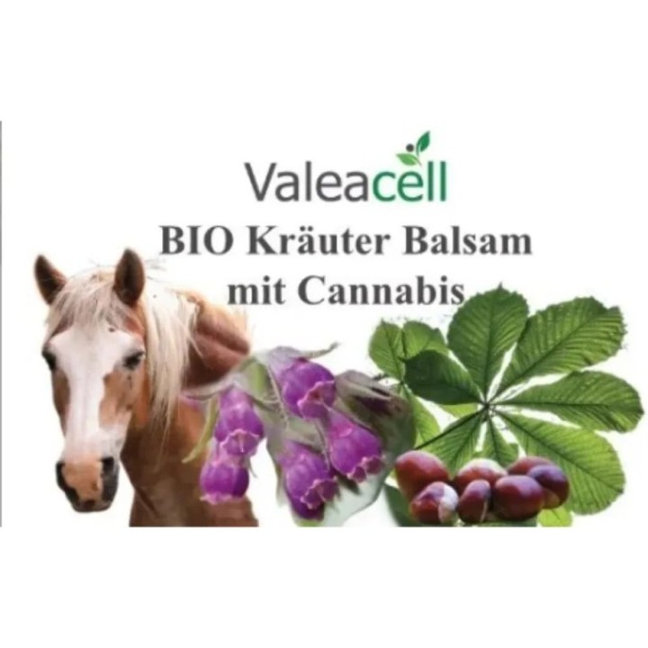 BIO bylinný balzám - 1 9505444333864Domovská stránka zdravotních produktů Valeacell7,90 €bio-bylinny-balzam