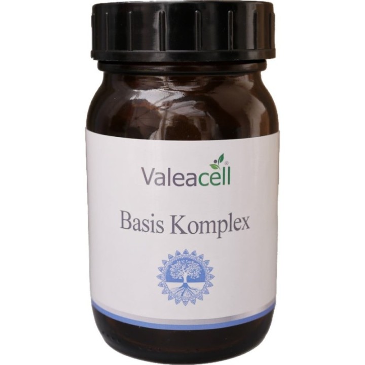 Basis Komplex