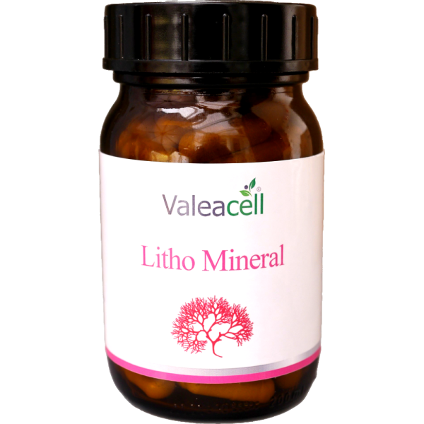 Litho Mineral aus der Rotalge
