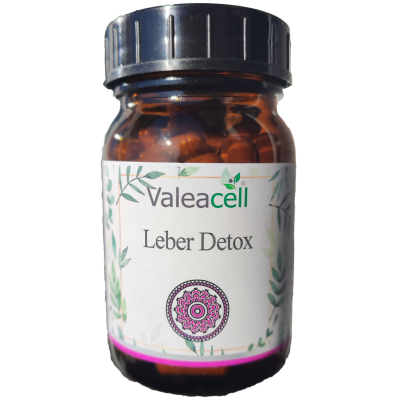 Detoxikace jater