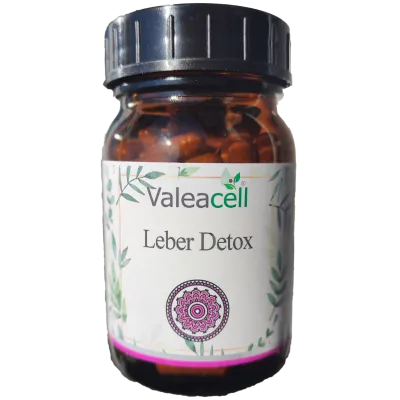 Detoxikace jater