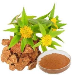 Rhodiola Rosea 90 capsule - 1