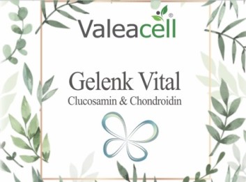 Gelenk Vital - 1