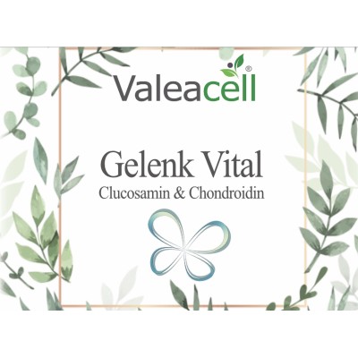 Gelenk Vital