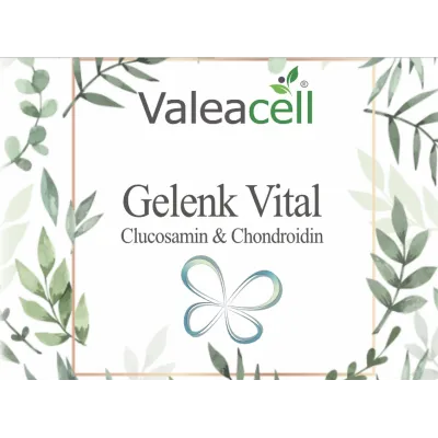 Gelenk Vital