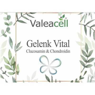 Gelenk Vitale