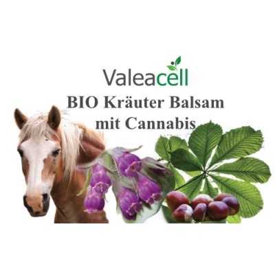 BIO Kräuter Balsam - 1