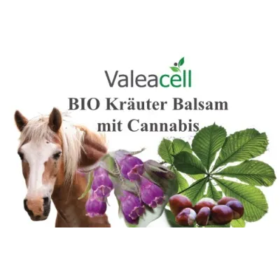 BIO Kräuter Balsam