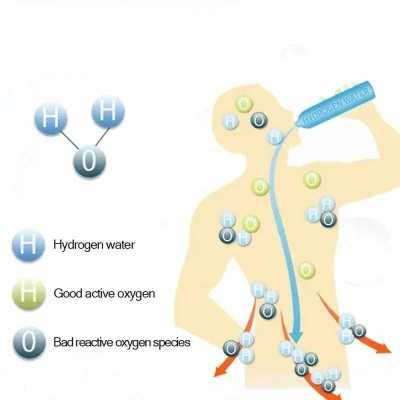 Hydrogen Generator - Wasserstoff Ionisierer 420ML - 4