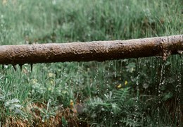 Trinkwasserwarnung Bad Endbach: Sonstige Verunreinigung nach Rohrbruch