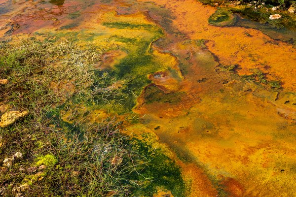 Enterokokken im Trinkwasser in Himmelstadt: Warnung und Maßnahmen