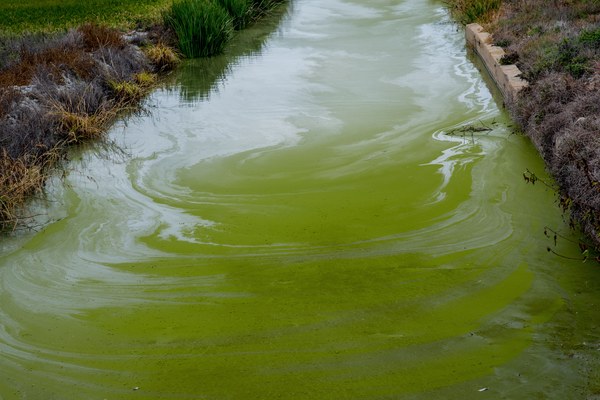Trinkwasserwarnung NÖ: Verunreinigung durch sonstige Schadstoffe am 10.06.2026